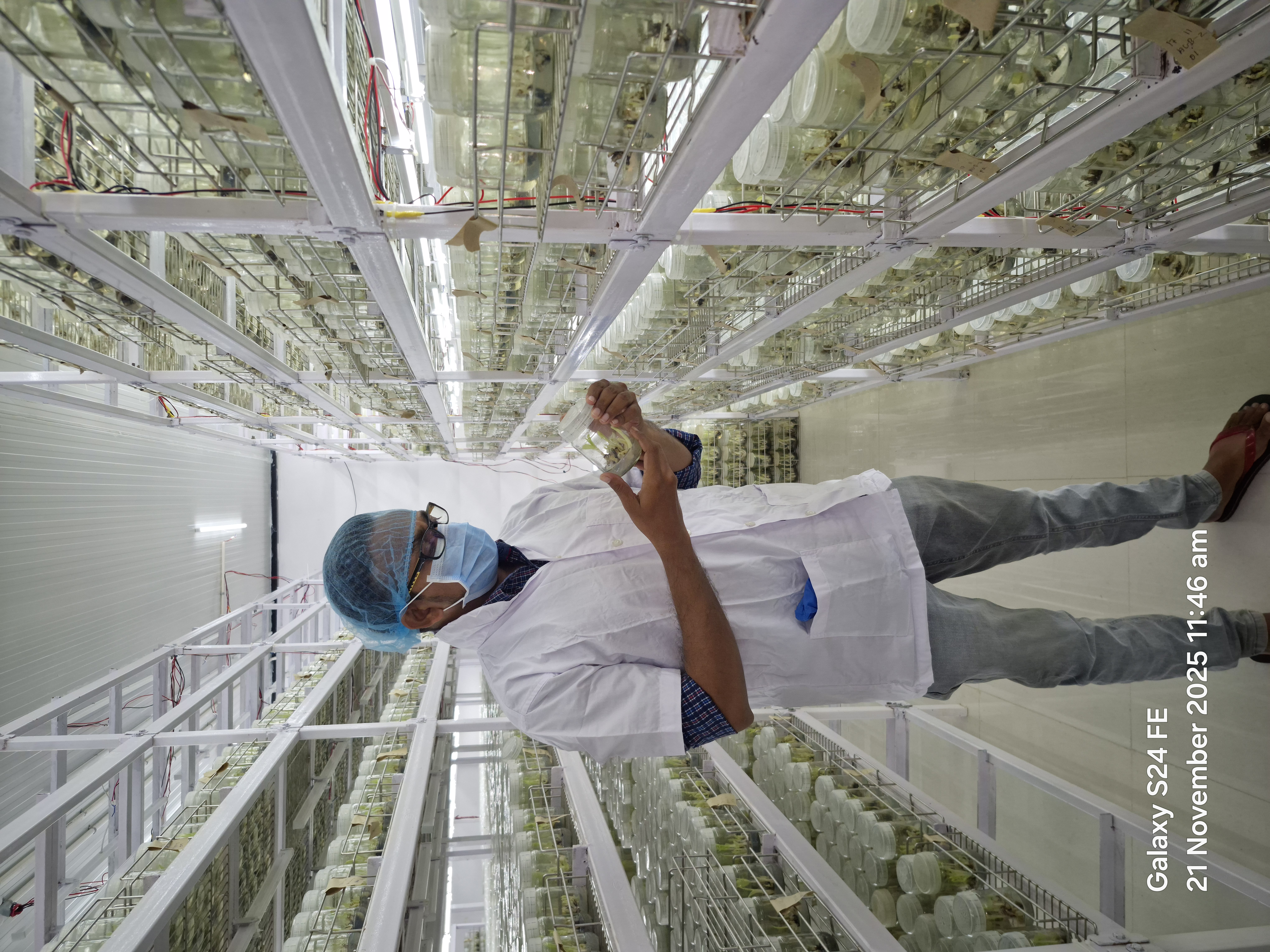Arcadia Lab Facility
